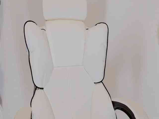aiLeXia webcam