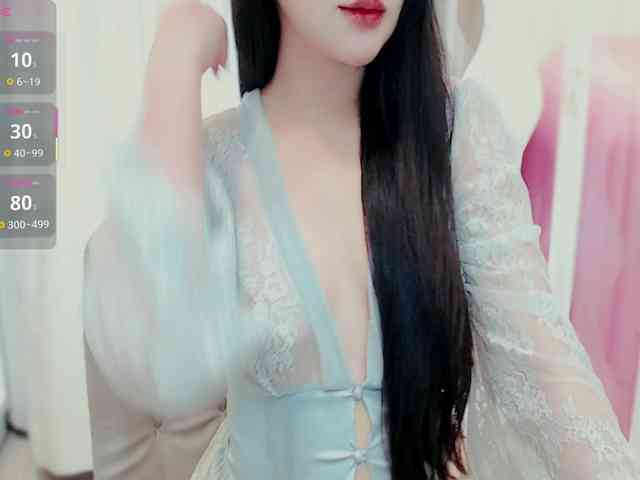 aiLeXia webcam