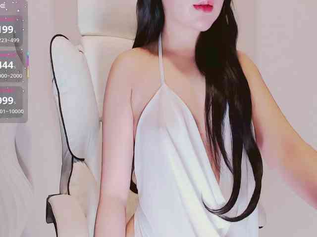 aiLeXia webcam