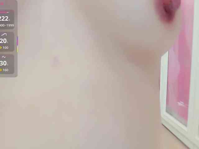aiLeXia webcam