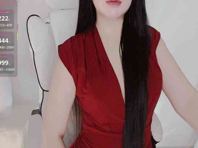 aiLeXia webcam