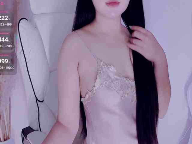 aiLeXia webcam