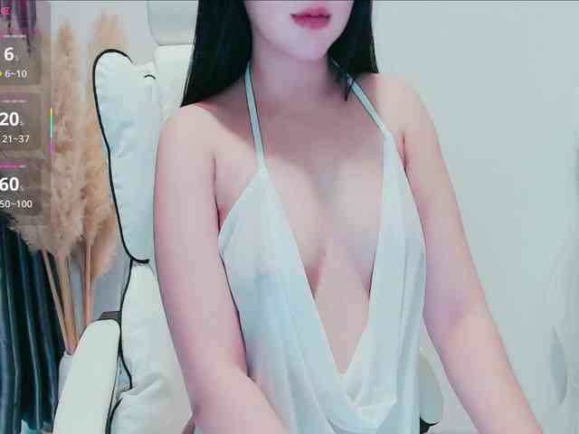 aiLeXia webcam