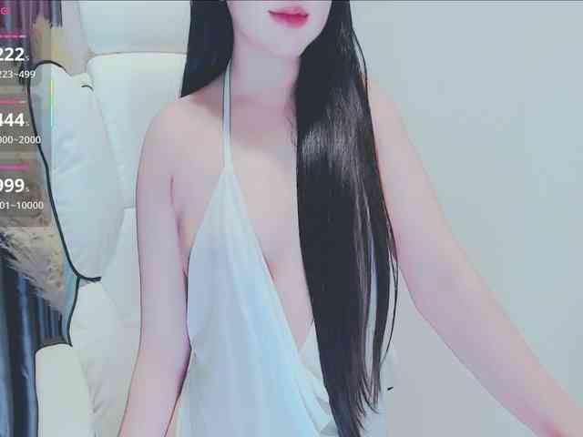 aiLeXia webcam
