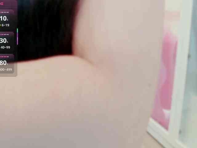 aiLeXia webcam