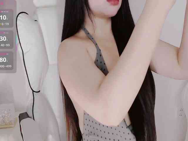 aiLeXia webcam