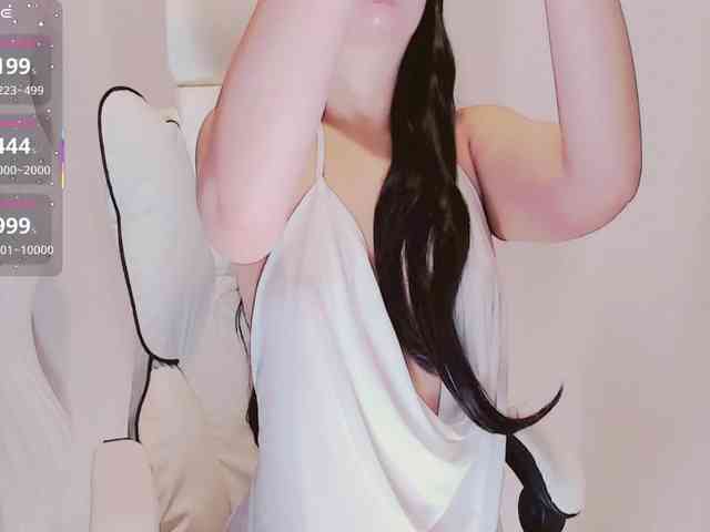 aiLeXia webcam