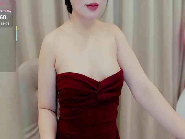 aiLeXia webcam