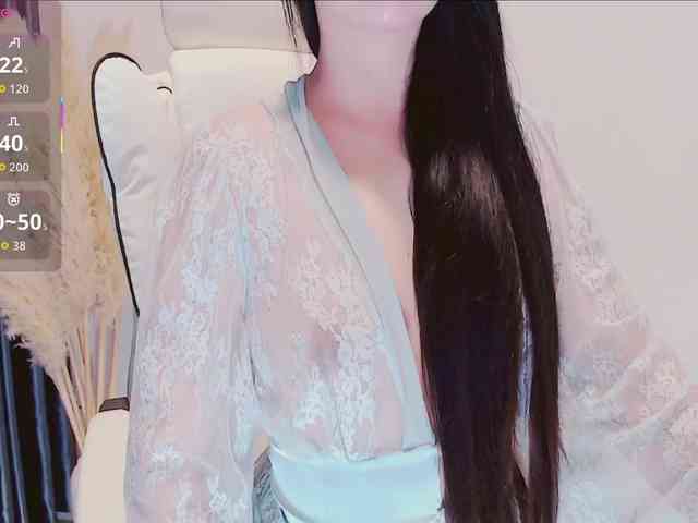 aiLeXia webcam