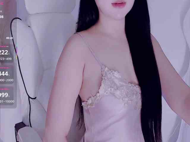 aiLeXia webcam