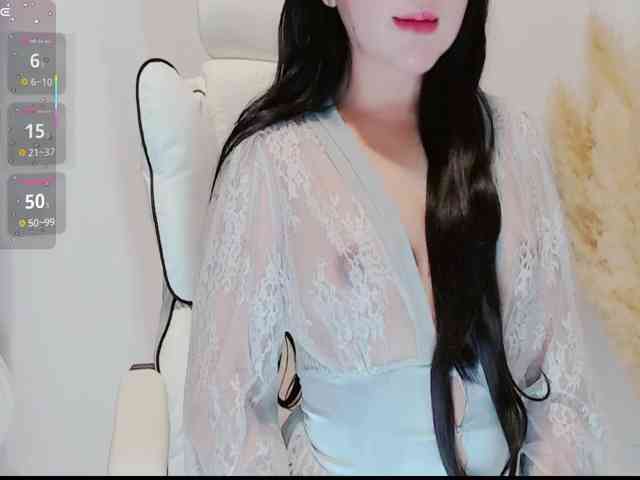 aiLeXia webcam