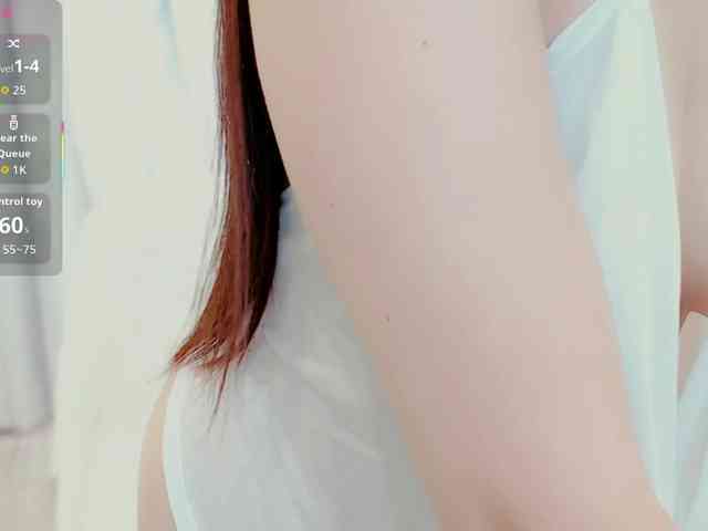 aiLeXia webcam