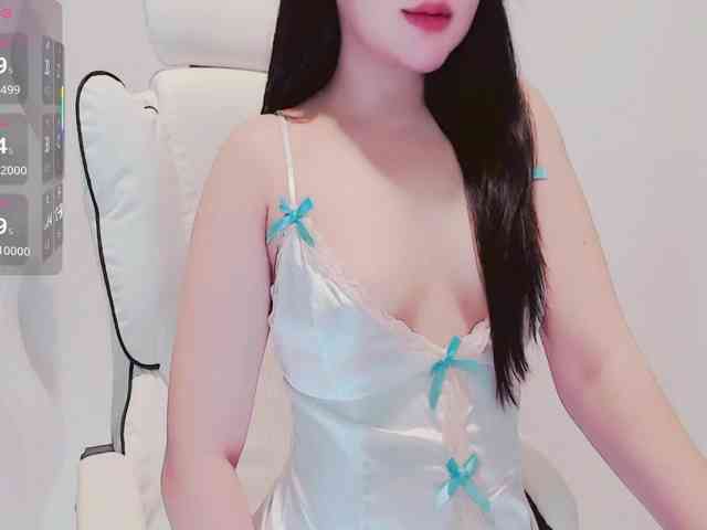 aiLeXia webcam