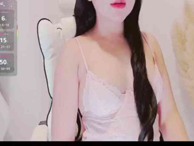 aiLeXia webcam
