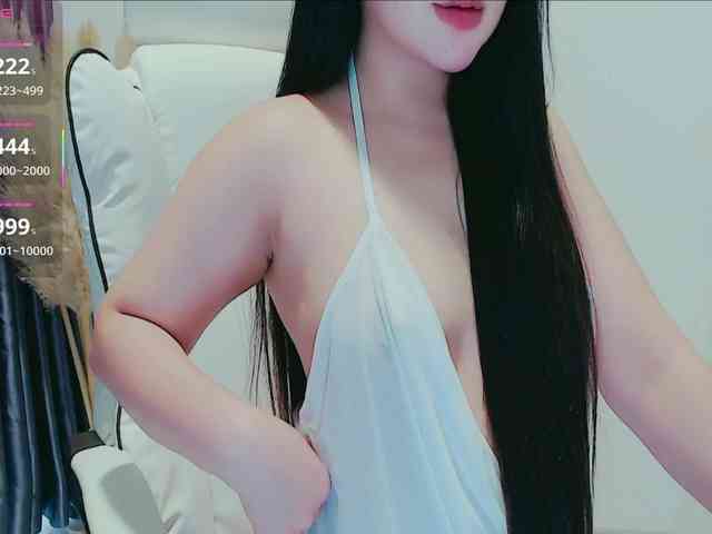 aiLeXia webcam