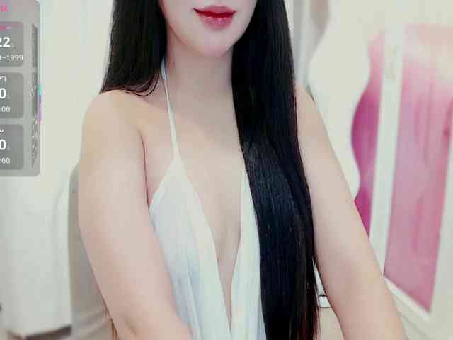 aiLeXia webcam