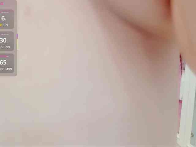 aiLeXia webcam