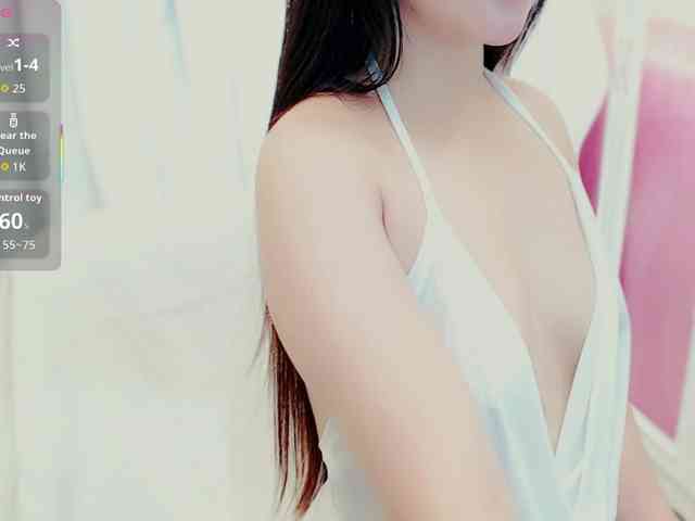 aiLeXia webcam
