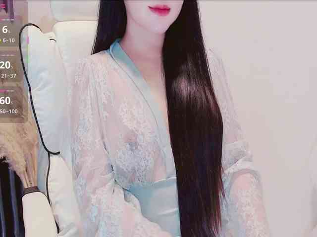aiLeXia webcam