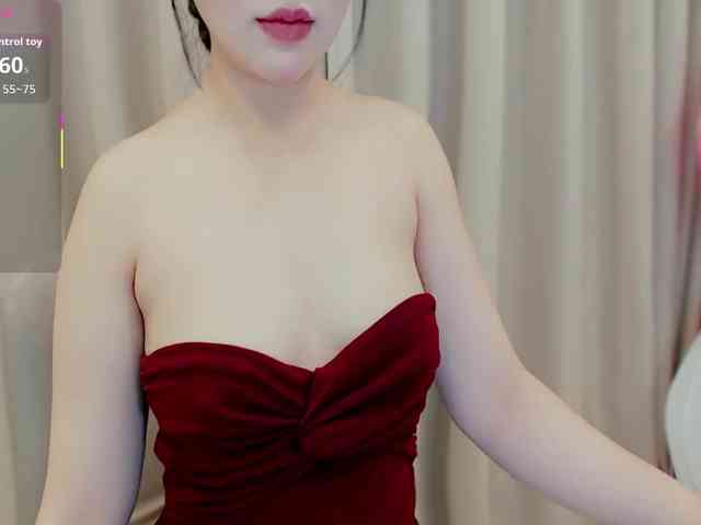 aiLeXia webcam