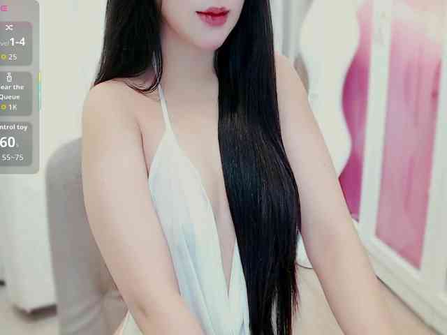 aiLeXia webcam