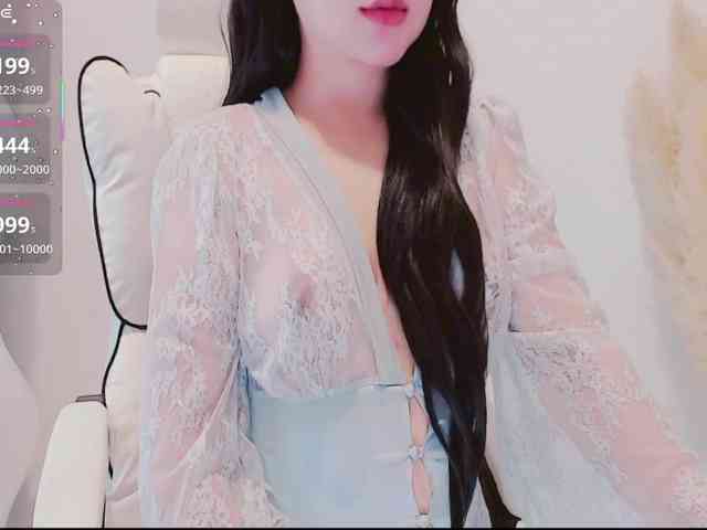 aiLeXia webcam