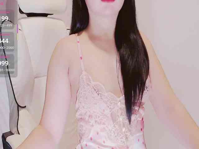 aiLeXia webcam