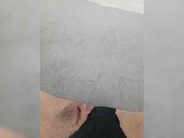 Alla-5 webcam