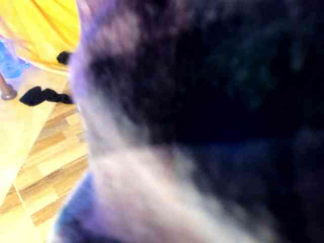 marley-luna webcam