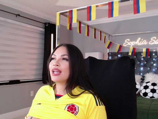 sophiasanchez