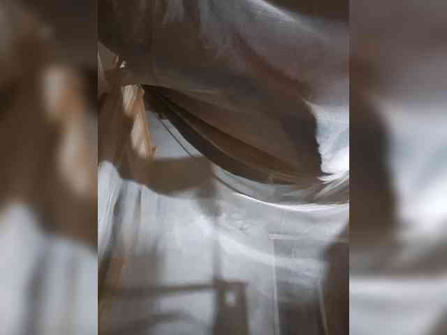 anasexy