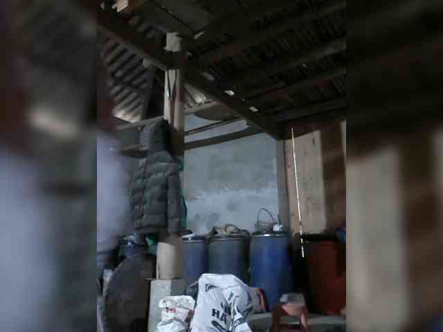 anasexy