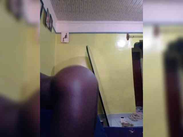Elame webcam