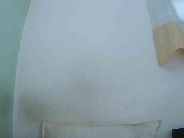 Chou1 webcam