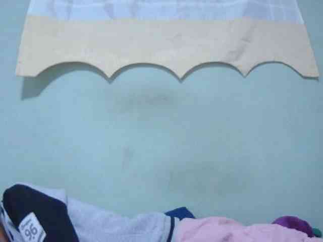 Chou1 webcam