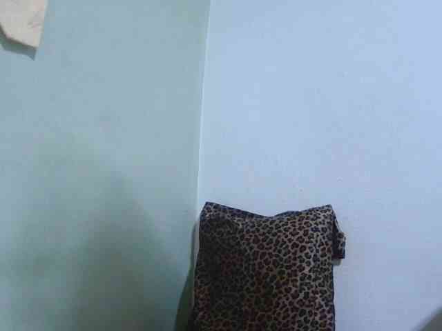 Chou1 webcam