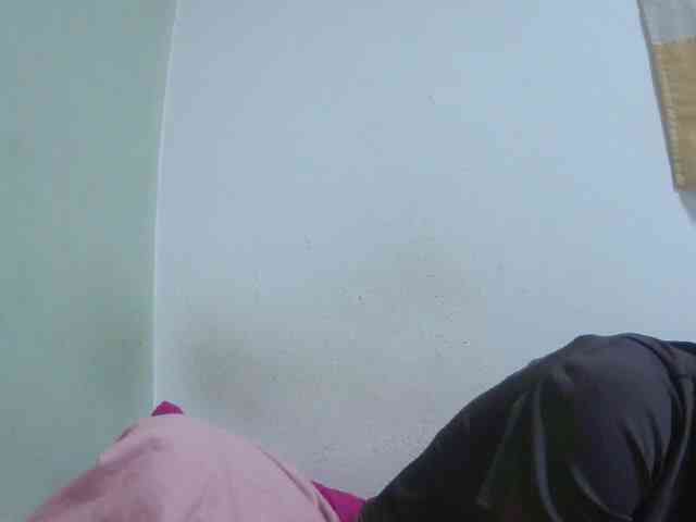 Chou1 webcam