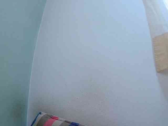 Chou1 webcam