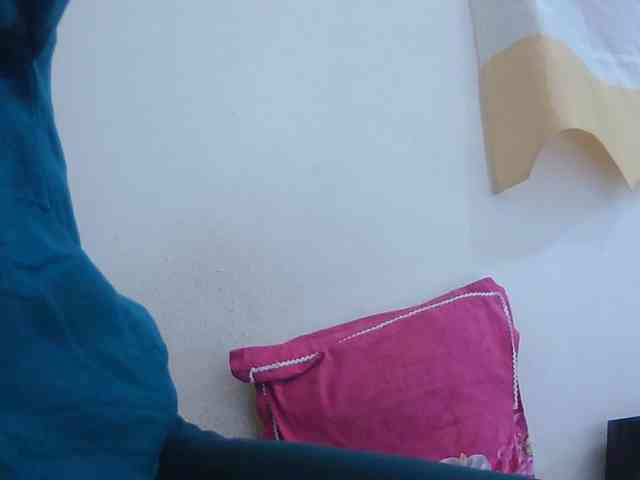 Chou1 webcam