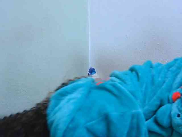Chou1 webcam