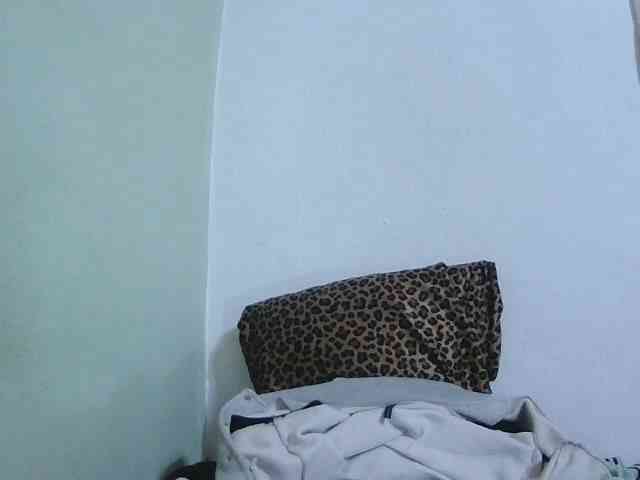 Chou1 webcam