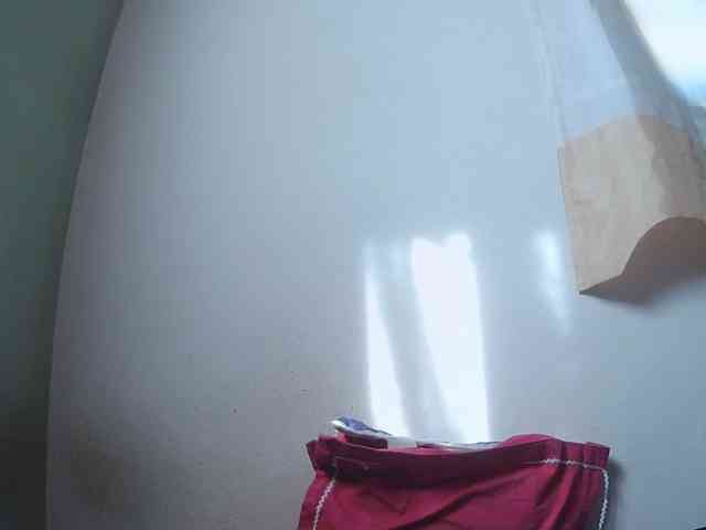 Chou1