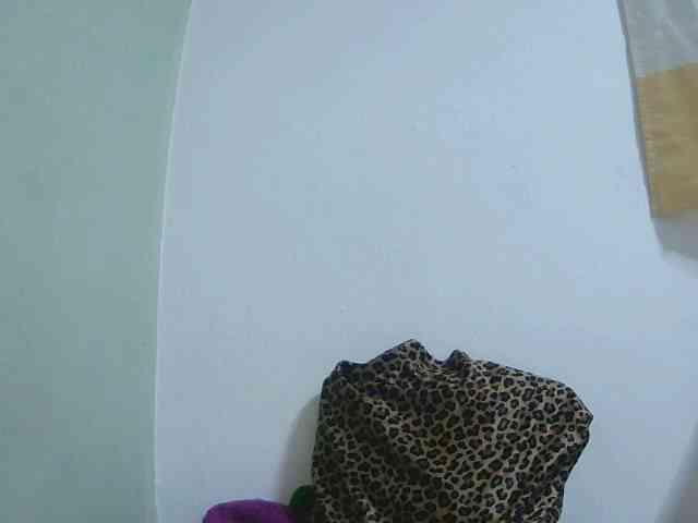 Chou1 webcam