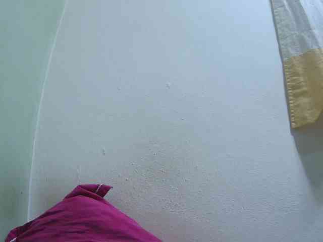 Chou1 webcam