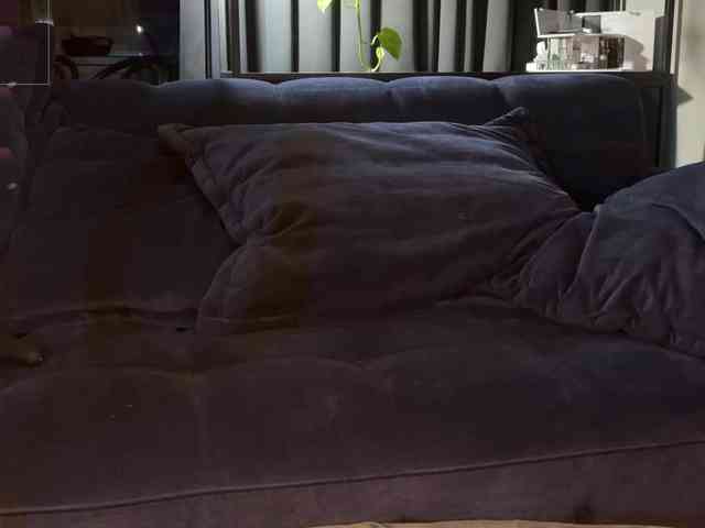 -Your-Michelle- webcam