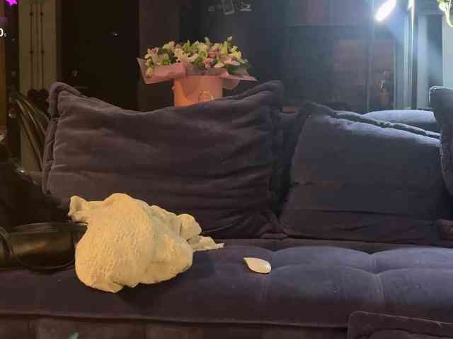 -Your-Michelle- Live Webcam on BongaCams