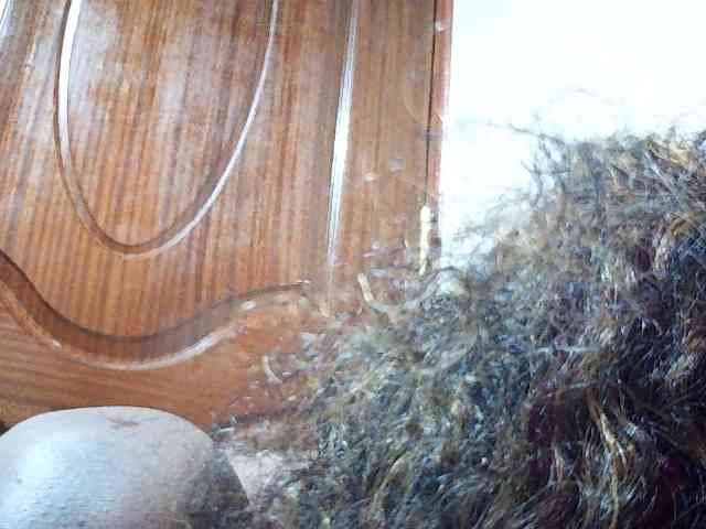 Molient123 webcam