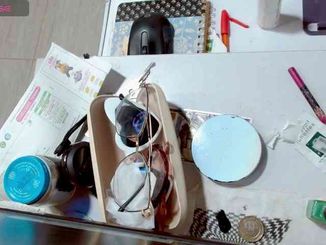lizethrey73 webcam