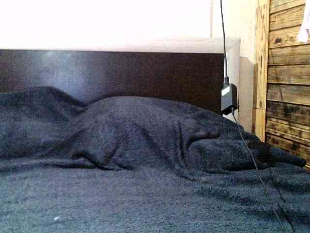 Viktoriia21 webcam