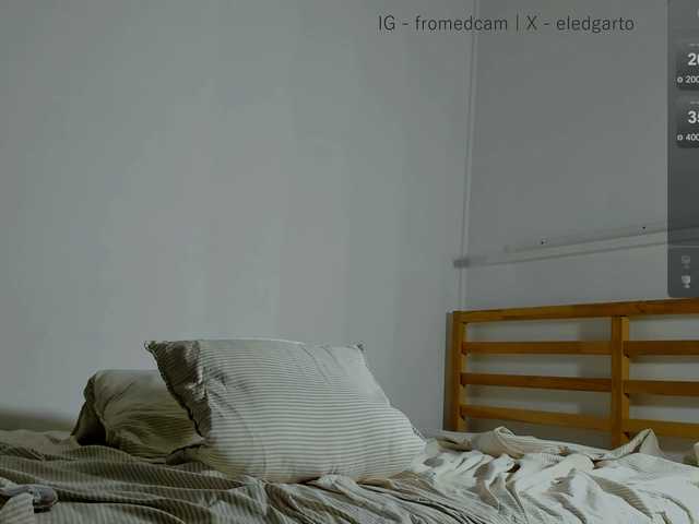 Fromedcam
